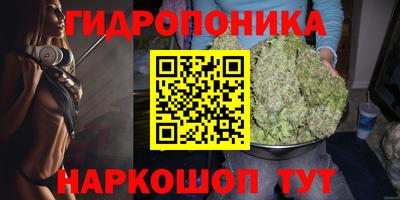 мдпв Железногорск