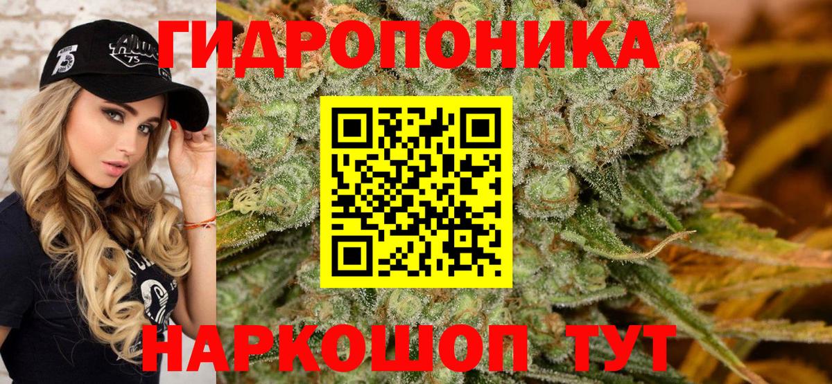 Канабис White Widow  Бошки Шишки конопля  Конопля ГИДРОПОН  Еманжелинск  Вход с VPN 